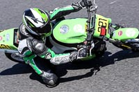 enduro-digital-images;event-digital-images;eventdigitalimages;mallory-park;mallory-park-photographs;mallory-park-trackday;mallory-park-trackday-photographs;no-limits-trackdays;peter-wileman-photography;racing-digital-images;trackday-digital-images;trackday-photos